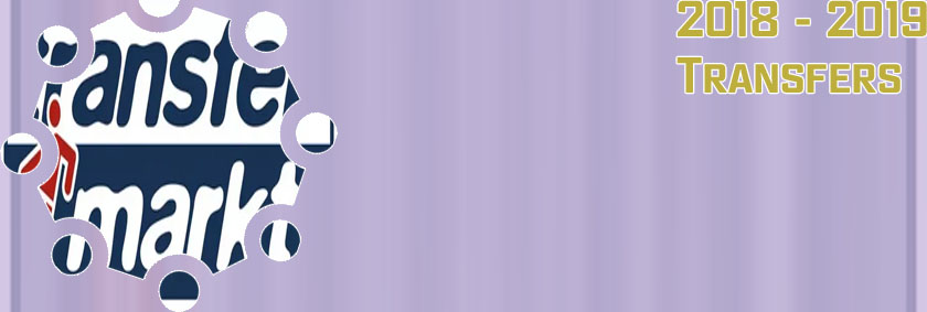 Football transfers market